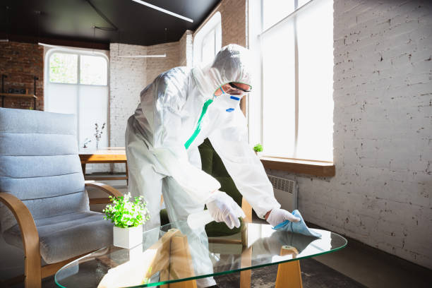 Best Forensic Mold Investigation  in Sun Valley, ID